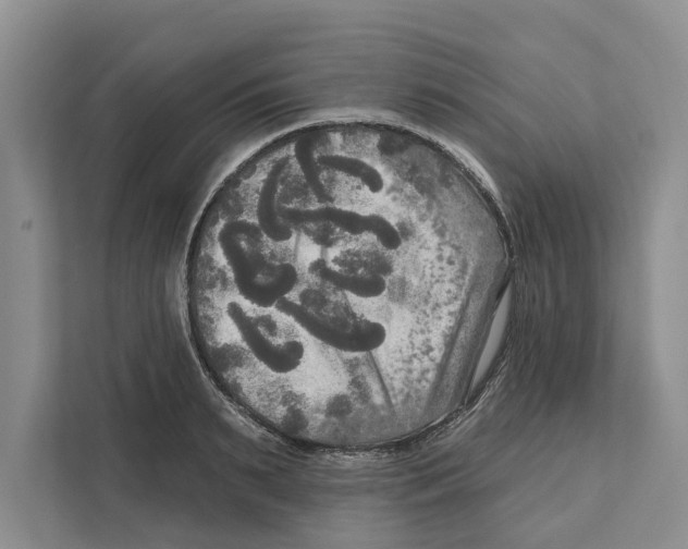 X0000111170895200907291121