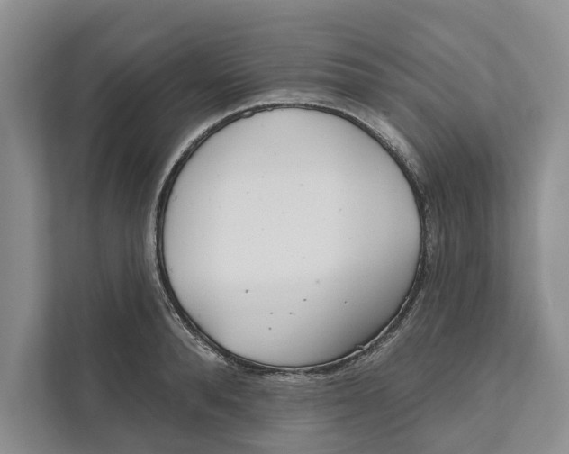 X0000111170896200907291121