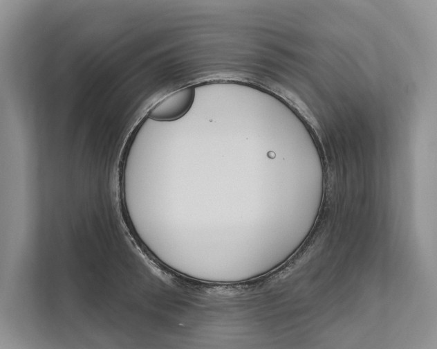 X0000111170898200907291121