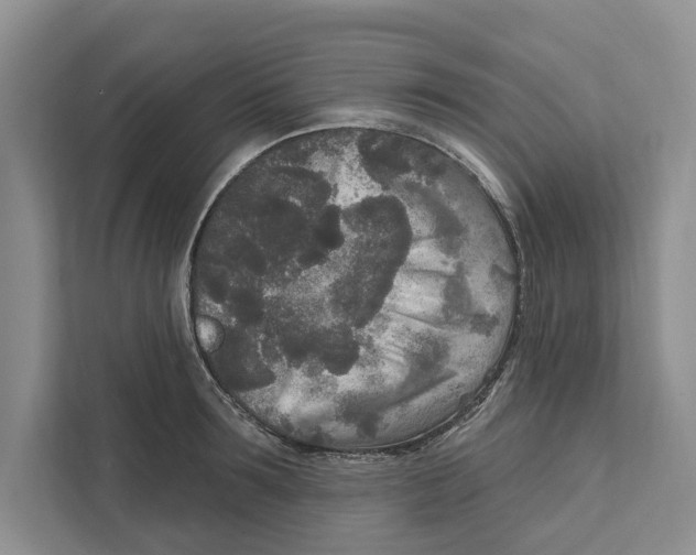 X0000111170899200907291121