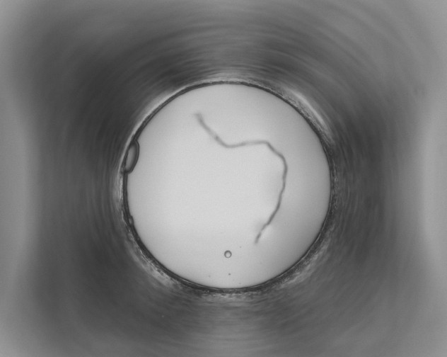 X0000111170900200907291121