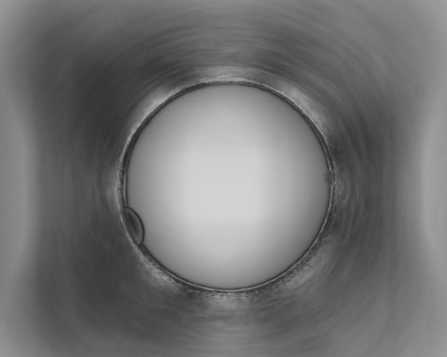 X0000111170901200907291121