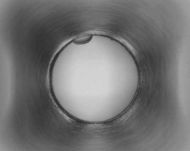 X0000111170902200907291121