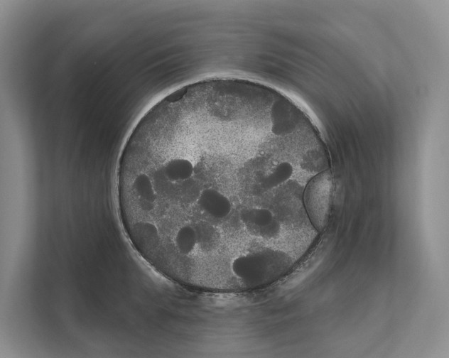 X0000111170903200907291121