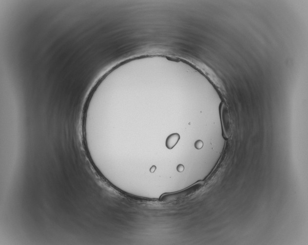 X0000111170904200907291121