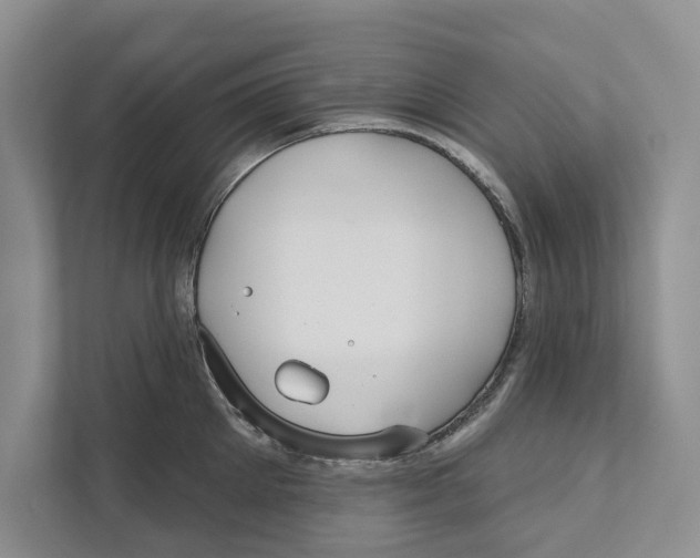 X0000111170905200907291121