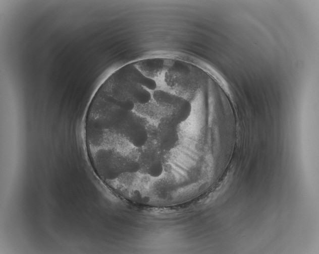 X0000111170907200907291121