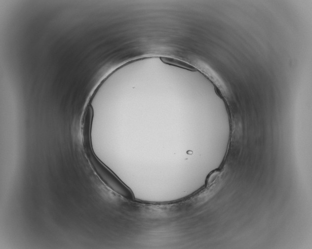 X0000111170908200907291121