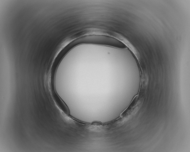 X0000111170909200907291121