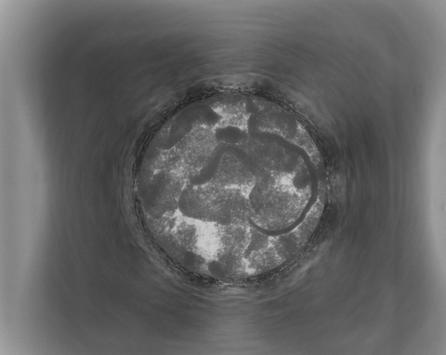 X0000111170913200907291120