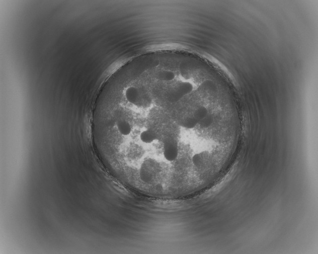 X0000111170921200907291120