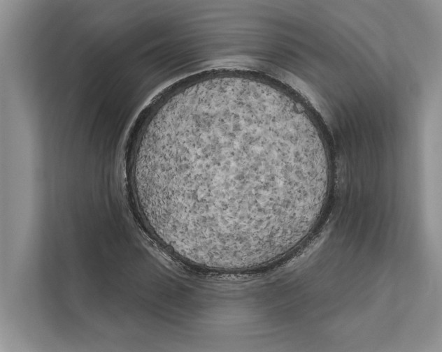X0000111170923200907291120