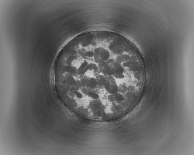 X0000111170925200907291120