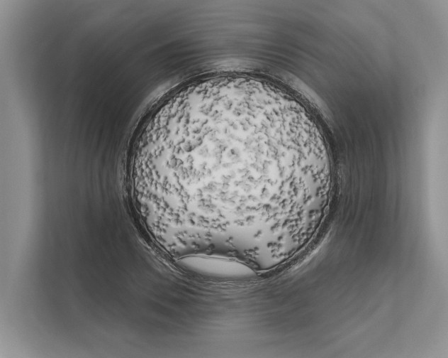 X0000111170930200907291120