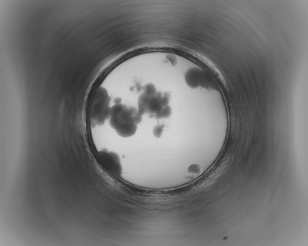 X0000111170935200907291120