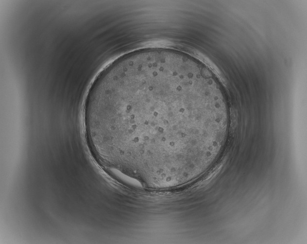 X0000111170939200907291120