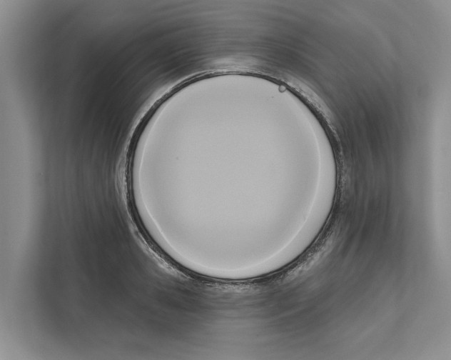 X0000111170941200907291120