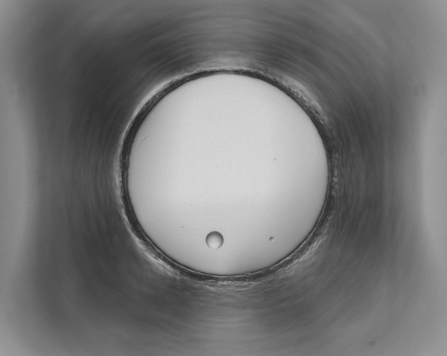 X0000111170942200907291120