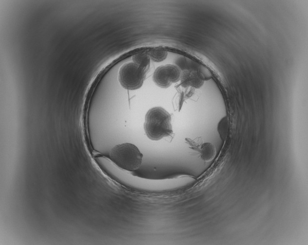 X0000111170943200907291120