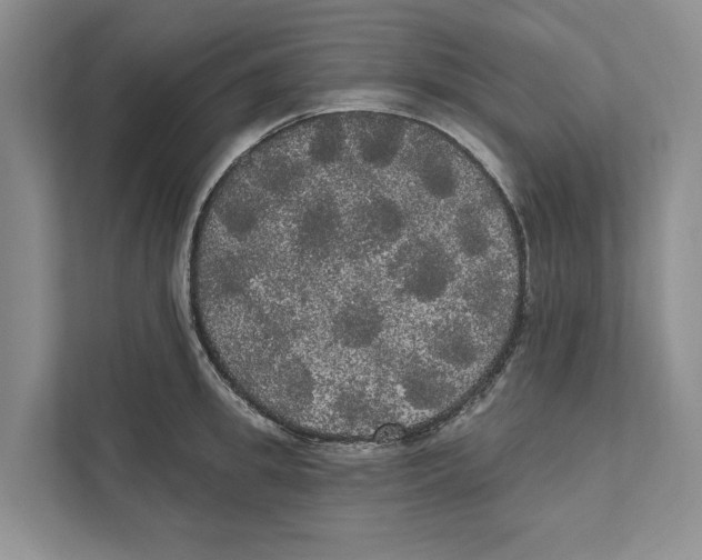 X0000111170949200907291120