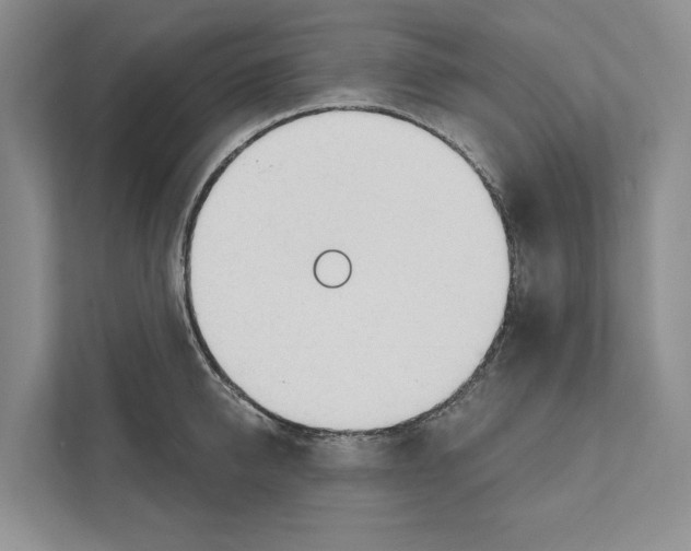 X0000111170950200907291120