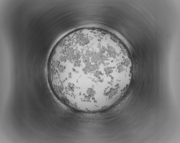 X0000111170951200907291120