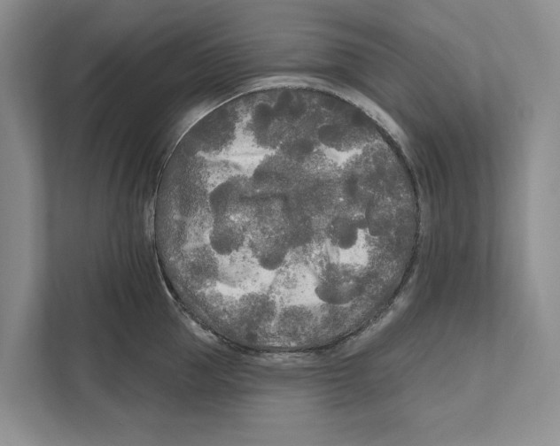 X0000111170953200907291120