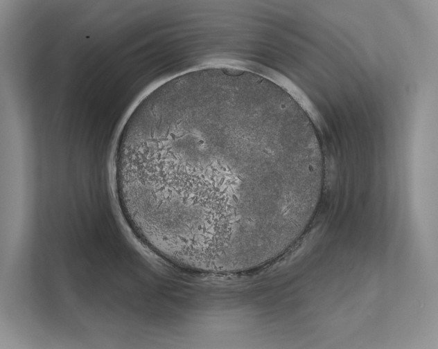 X0000111170955200907291120