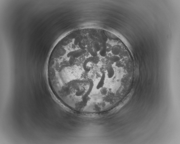 X0000111170957200907291120