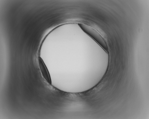 X0000111170960200907291120