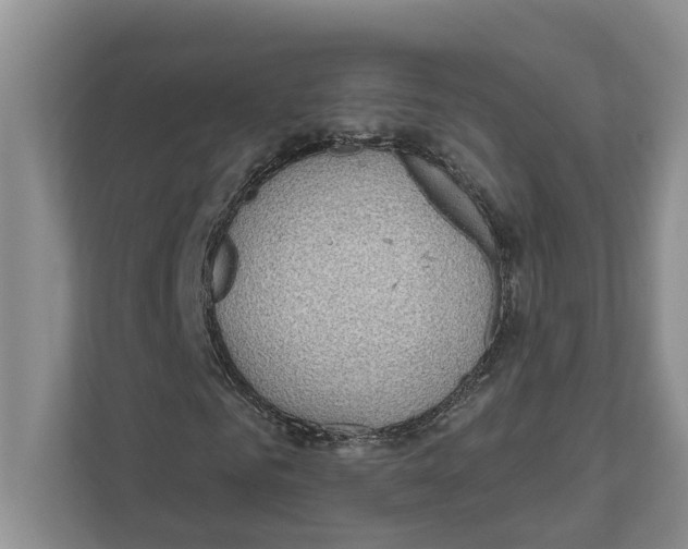 X0000111170961200907291120