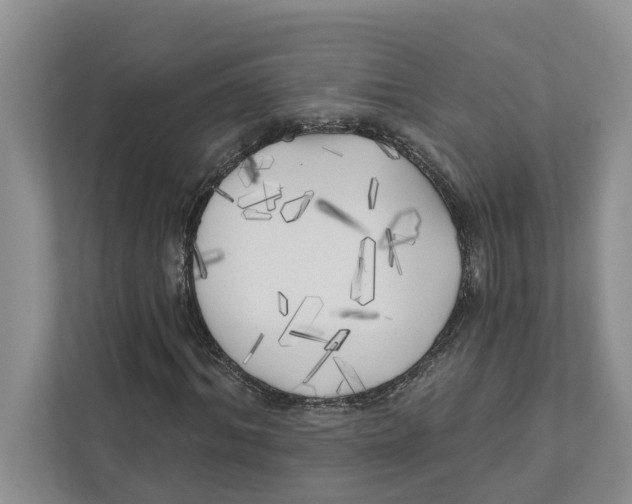 X0000111170964200907291120