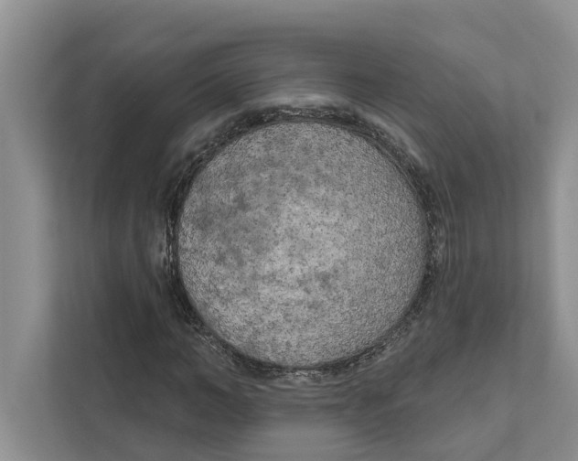 X0000111170966200907291120