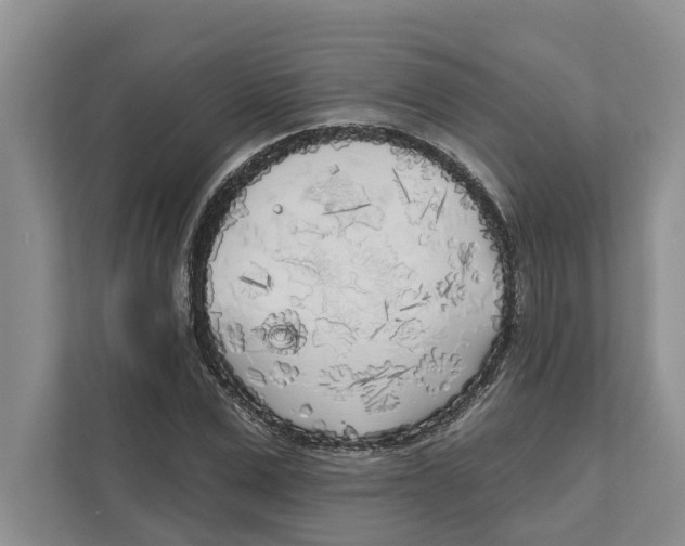 X0000111170975200907291120