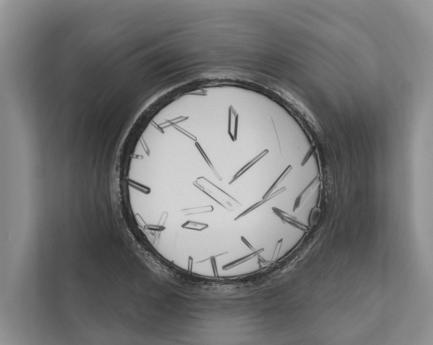 X0000111170976200907291120