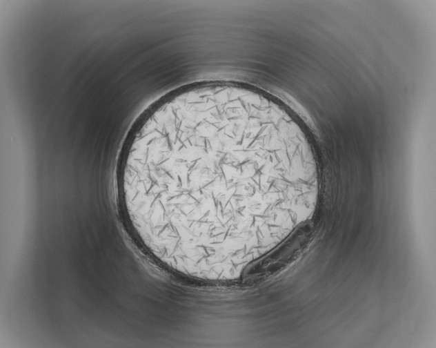 X0000111170980200907291120