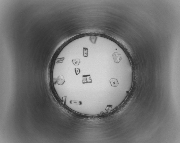 X0000111170983200907291120