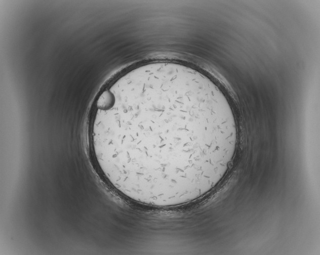 X0000111170984200907291120