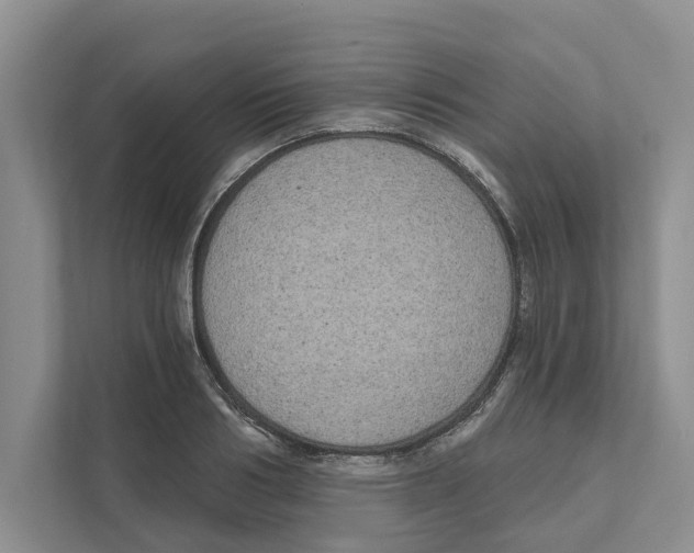 X0000111170986200907291120