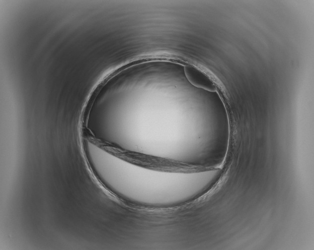 X0000111170989200907291119