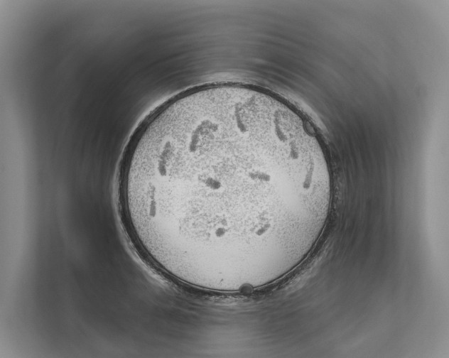 X0000111170991200907291119