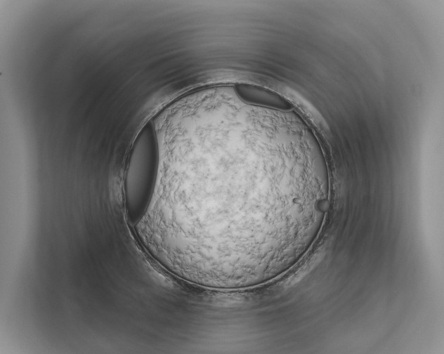 X0000111170993200907291119