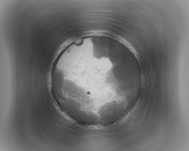 X0000111170994200907291119