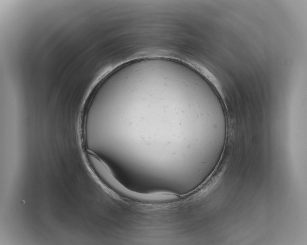 X0000111170997200907291119