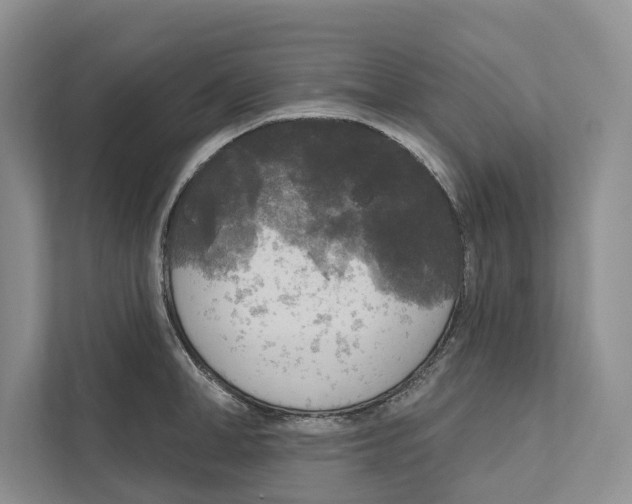 X0000111170998200907291119