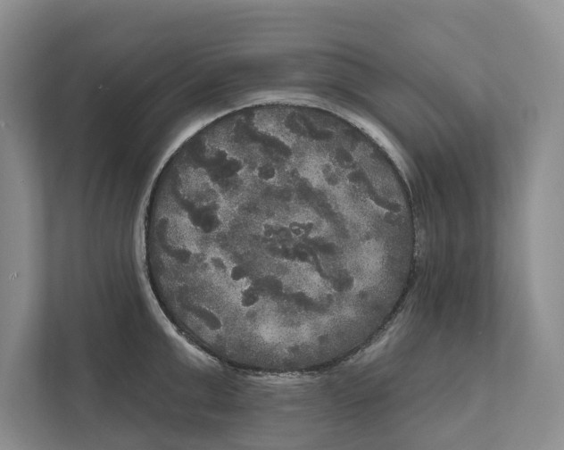 X0000111170999200907291119