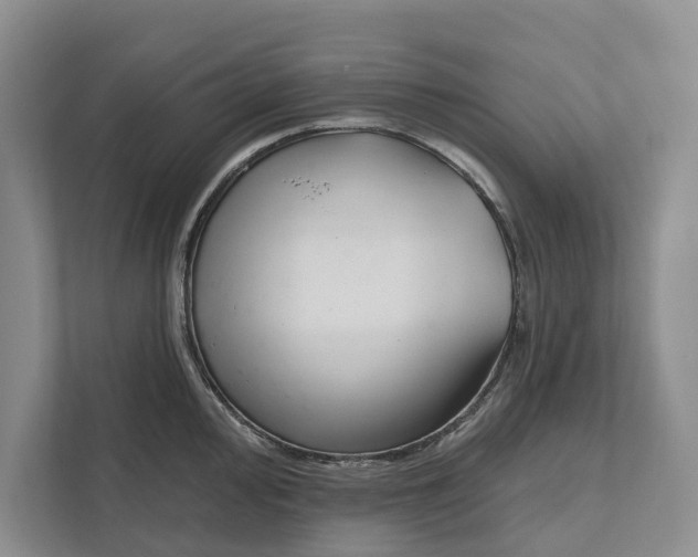 X0000111171000200907291119