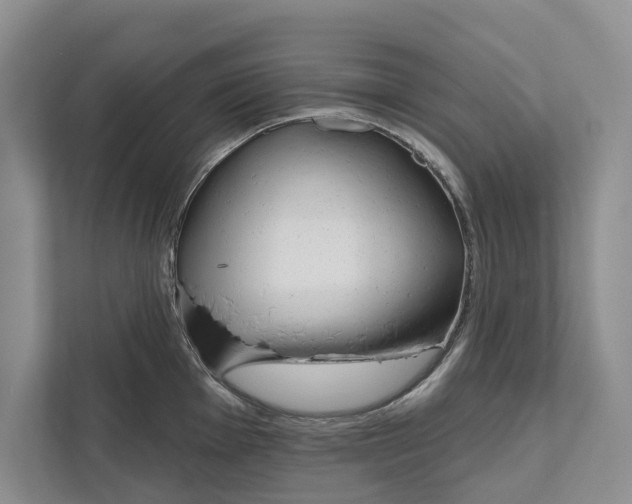 X0000111171001200907291119