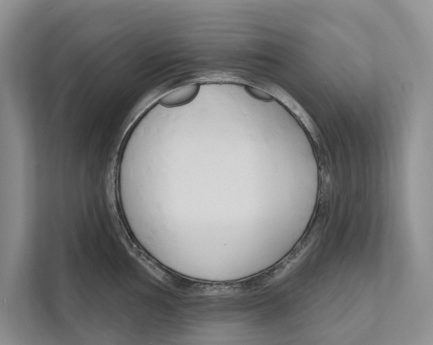 X0000111171002200907291119