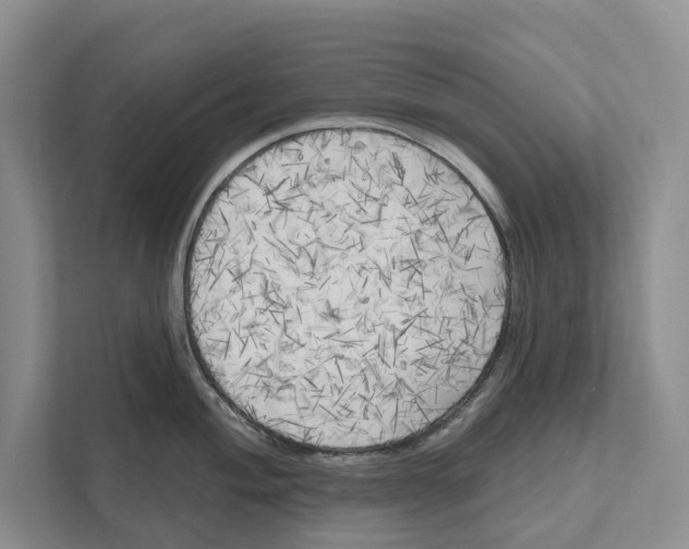 X0000111171004200907291119